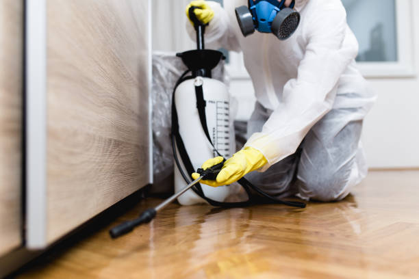 Best Flea Control Services  in Lincoln, MO