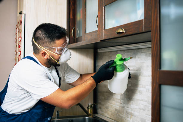 Best Best Pest Control Companies  in Lincoln, MO