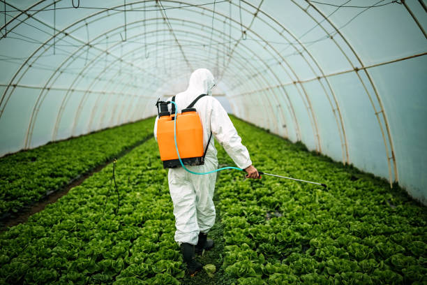 Best Pest Control Treatment  in Lincoln, MO