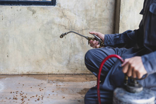 Pest Control for Restaurants in Lincoln, MO