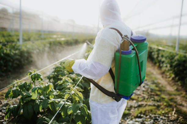 Best Commercial Pest Control Services  in Lincoln, MO